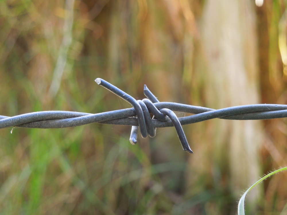 barbedwire_unsplash